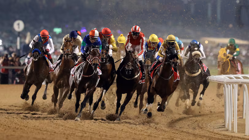 كأس دبي العالمي في نسخته الثلاثين بين عراقة الخيل وفنون الأناقة